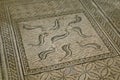 Mosaic Floor, Volubilis, Morocco