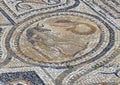 Volubilis mosaic featuring Hercules 4th labor, Capture the Erymanthian Boar. Royalty Free Stock Photo