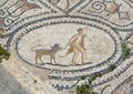 Volubilis mosaic featuring Hercules 12th labor, capturing and returning Cerberus.