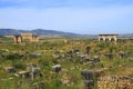 Volubilis