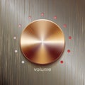 Volume button with bronze or gold texture and scale on bronze polished texture background