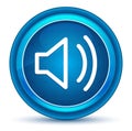 Volume speaker icon eyeball blue round button Royalty Free Stock Photo