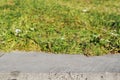 Volumetric background of green grass and concrete.