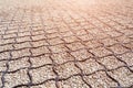 Geogrid used at base of new pedestrian road, road construction, reinforcement covered with fine gravel.