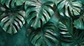 Volumetric Stucco Panel of Monstera Leaves: Oversized picture Royalty Free Stock Photo