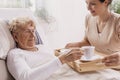 Volunteer in beige uniform serving coffee to senior female patient Royalty Free Stock Photo