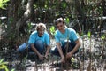 Volunteer in blue t-shirt planting sapling tree in deep mud at mangrove forest for increasing mangrove cover world-wide, eco world Royalty Free Stock Photo