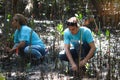 Volunteer in blue t-shirt planting sapling tree in deep mud at mangrove forest for increasing mangrove cover world-wide, eco world Royalty Free Stock Photo