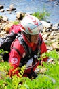 Volunteer canine unit of the Italian Red Cross during a demonstration.