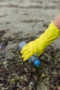 volunteer collecting plastic bottles on a polluted beach, highlighting ocean Royalty Free Stock Photo
