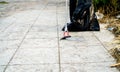 Volunteer collecting used medical face mask near plastic bottle into trash plastic bag for cleaning urban street. Clean up Royalty Free Stock Photo