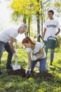 Cheerful three volunteers digging in tree