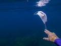 Volunteer man snorkeling with swimsuit and picking up a mask garbage on ocean Royalty Free Stock Photo