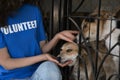 Volunteer near dog cage in animal shelter, closeup Royalty Free Stock Photo