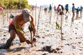 Volunteer plant young mangrove trees at the swamps nearby Saphan Hin public park