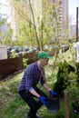volunteer planting a tree. nature, environment and environment. Royalty Free Stock Photo