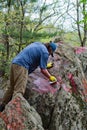 A Volunteer Removing Graffiti From a Boulder