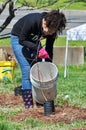 Volunteer Watering Tree During Planting Riparian Restoration Project