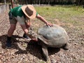 Volunteer Zoo Keeper petting an old female Galapagos tortoise