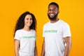 Multiracial Volunteers Posing Smiling To Camera Standing On Yellow Background
