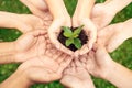 Volunteering. Young people volunteers outdoors together hands top view close-up holding tree seedling bright