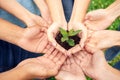 Volunteering. Young people volunteers outdoors together hands top view close-up holding tree seedling