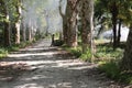 Volunteers Clean City Park of old leaves from last year