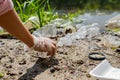 Volunteers cleaning garbage near river. Women picking up a bottle plastic in the lake, pollution and environment