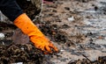 Volunteers collecting garbage. Beach environment pollution. Volunteers cleaning the beach on blurred background.