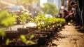 Volunteers contributing to city beautification through tree planting