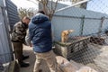 Volunteers helping the dog shelter