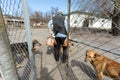 Volunteers helping the dog shelter