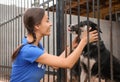 Volunteers near dog cage at animal shelter Royalty Free Stock Photo