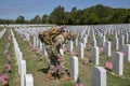 Memorial Day at Cape Canaveral National Cemetery Royalty Free Stock Photo