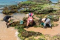 Volunteers remove black oil from the Rio Vermelho beach spilled by a ship in the Brazilian sea