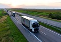 VOLVO FH Semi-trailer truck `APS - Transport Logistic Solution` driving along highway on sunset background. RUSSIA, MOSCOW - SEP