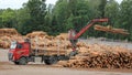 Volvo FH Truck Unloads Logs at Lumber Yard