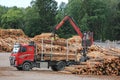 Volvo FH Truck Unloads Logs at Lumber Yard