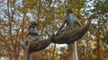 Bronze sculpture of a pair of lovers a man and a woman in canoes look at in Volgograd, Russia