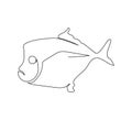 Vomer fish, silver moonfish, lookdowns, selene continuous line drawing. One line art of fish, seafood. Royalty Free Stock Photo