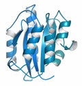 Von Willebrand factor A3 domain. Defects and deficiencies cause bleeding diseases.