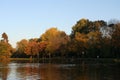 Vondelpark Amsterdam, Netherlands Royalty Free Stock Photo