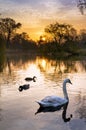 Vondelpark sunrise birds