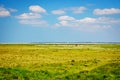 The salt marshes and mud flats in the estuary of the River Somme.