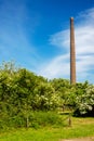 Blooming elderberries and an old chimney along the River Waal at Bemmel, Gelderland, the Netherlands. Royalty Free Stock Photo