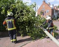 Firefighters remove fallen tree in dutch town on Voorschoten in the netherlands after summer storm