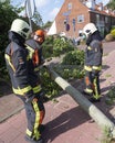 Firefighters remove fallen tree in dutch town on Voorschoten in the netherlands after summer storm