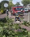 Firefighters remove fallen tree in dutch town on Voorschoten in the netherlands after summer storm