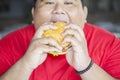 Voracious obese man enjoying a big hamburger