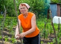 Stretching trellis to support the growth of garden plants